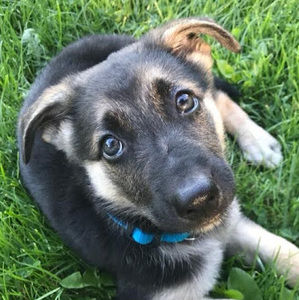 Meet your Posher, Rachael